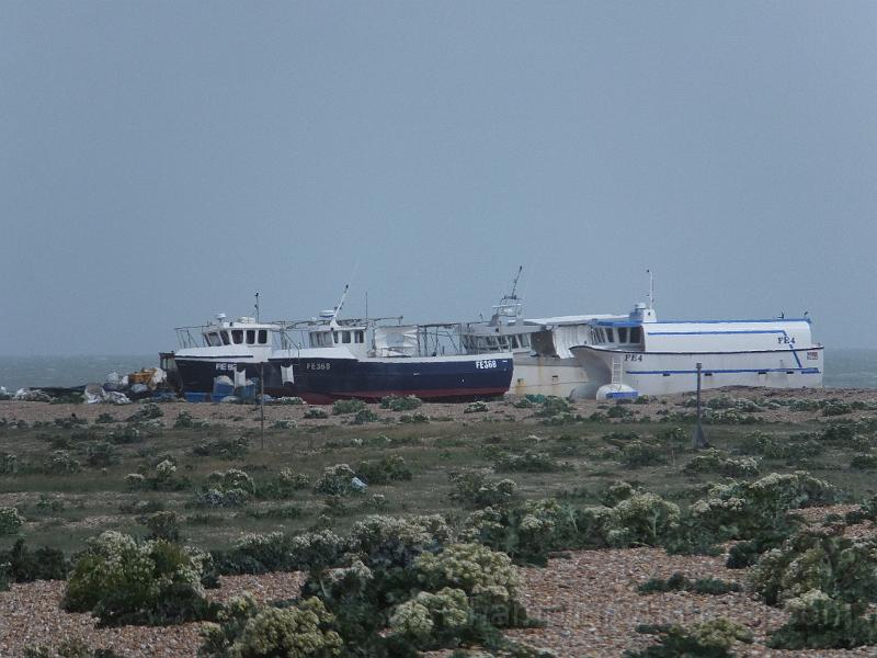 DSCF6759.JPG