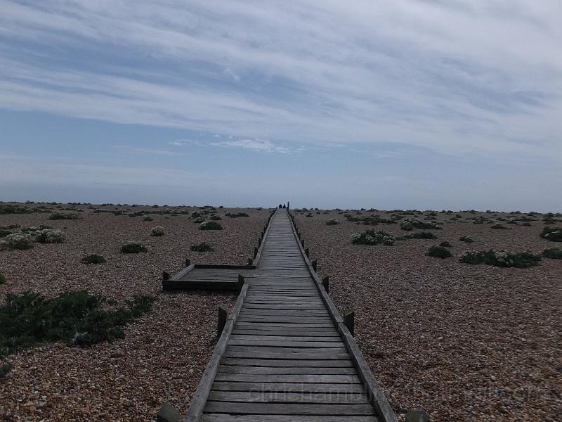 DSCF6770.JPG