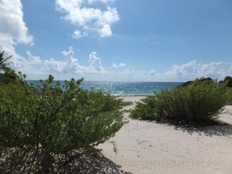 DSCF6880.JPG