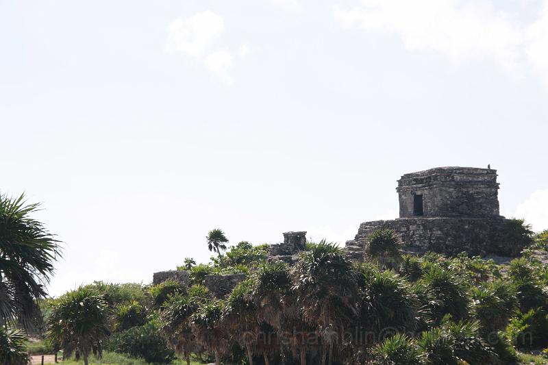 IMG_3715.JPG