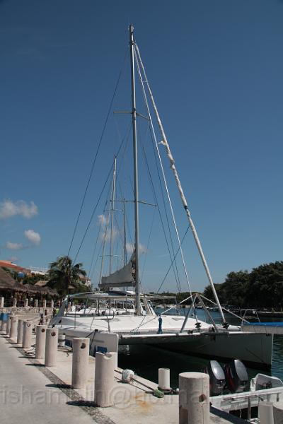 IMG_3787.JPG