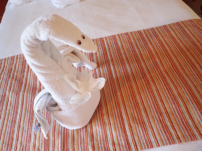 P9290079.JPG