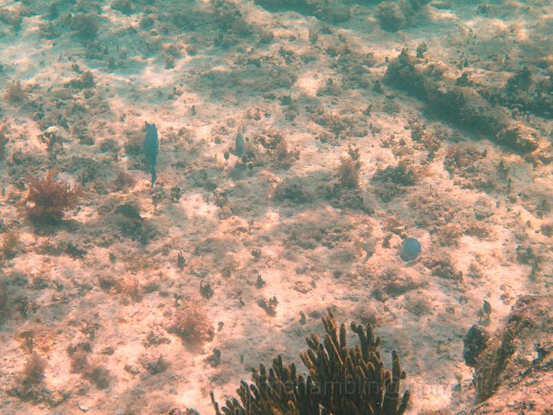 PA010096.JPG