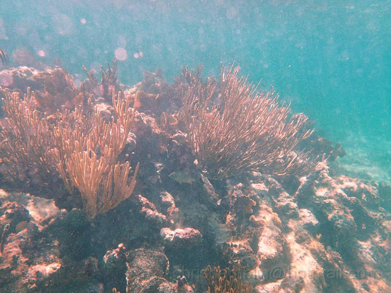 PA010097.JPG
