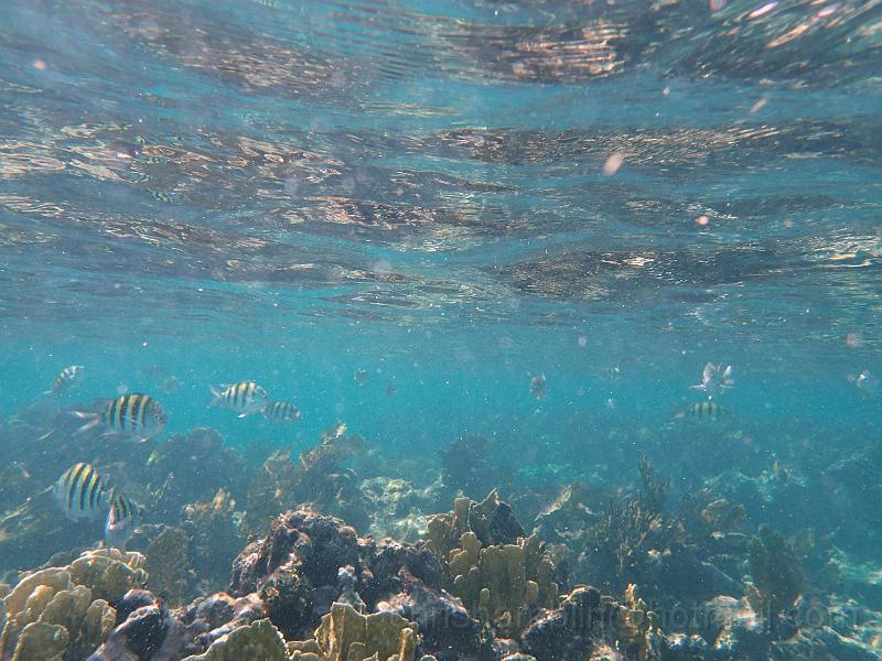 PA010112.JPG