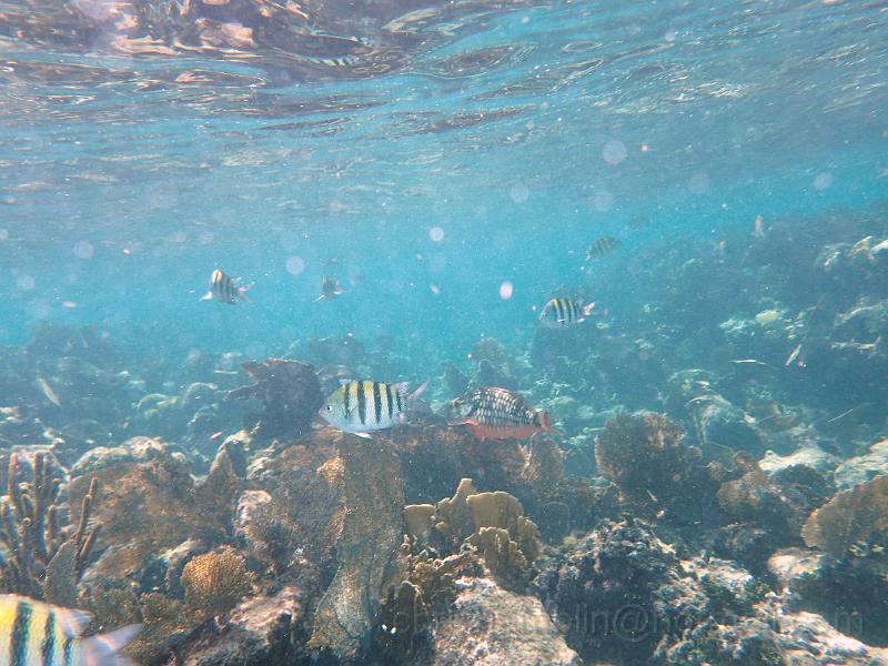 PA010114.JPG