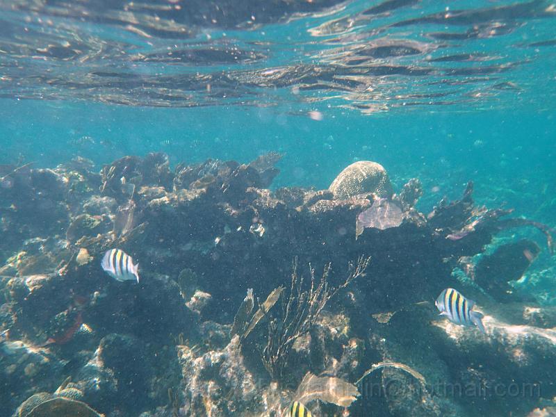 PA010115.JPG
