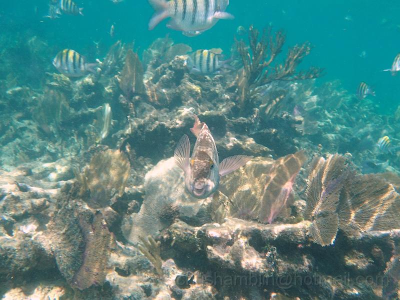 PA010117.JPG