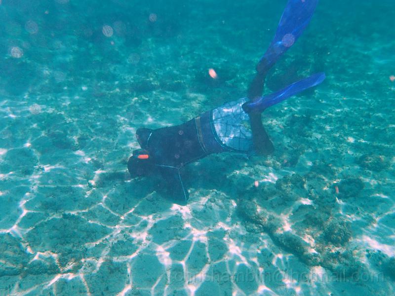 PA010122.JPG