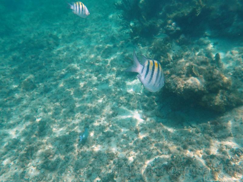 PA010129.JPG