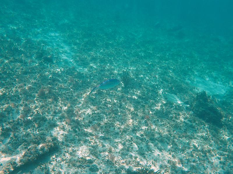 PA010135.JPG