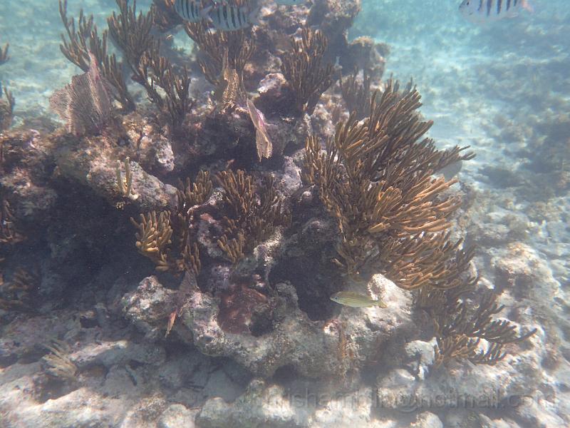 PA010137.JPG