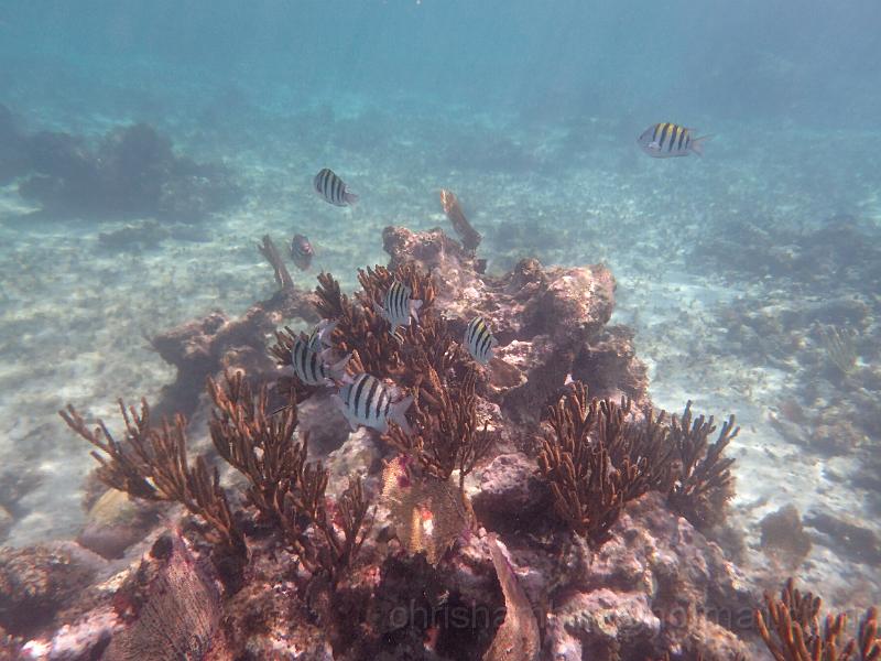 PA010138.JPG