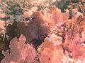 PA010099