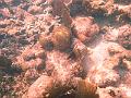 PA010102