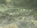PA050190