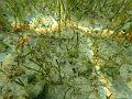 PA050204