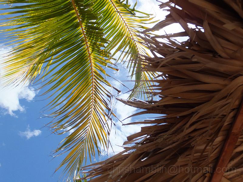 DSCF6494.JPG