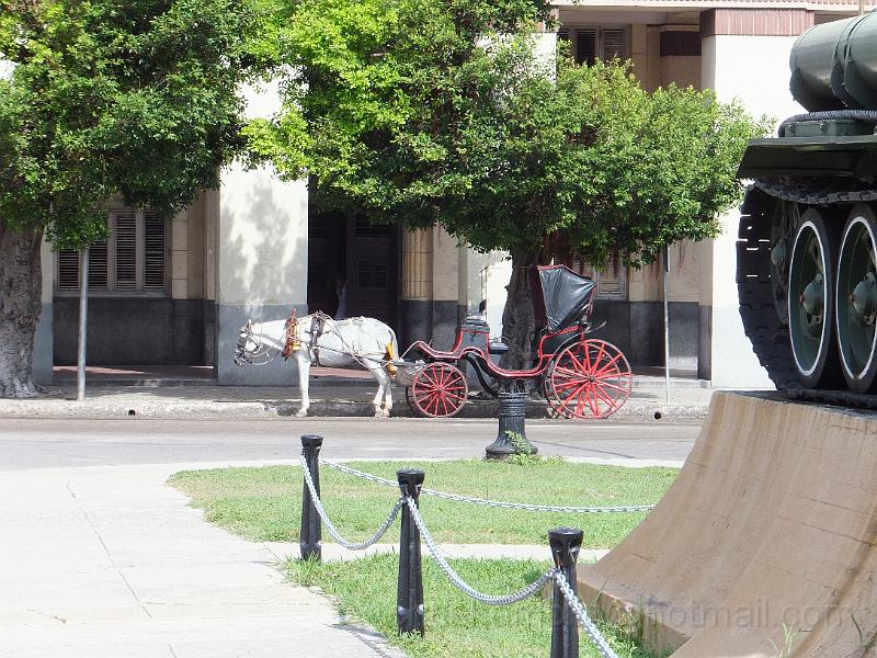 DSCF6526.JPG