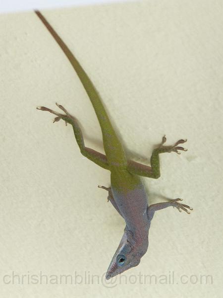 DSCF6653.JPG