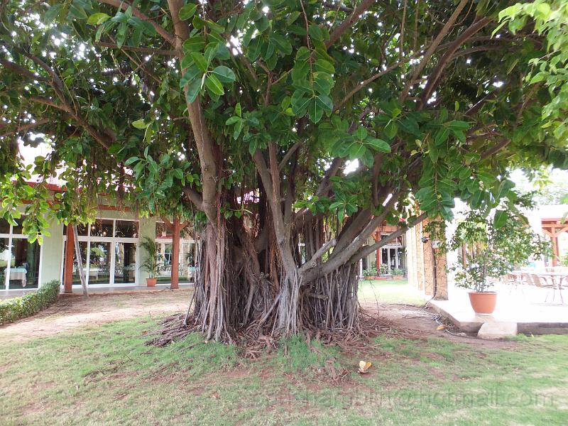 DSCF6661.JPG