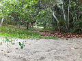 DSCF6646