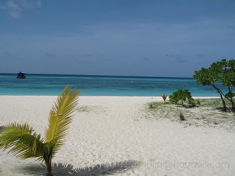 IMG_3560.JPG