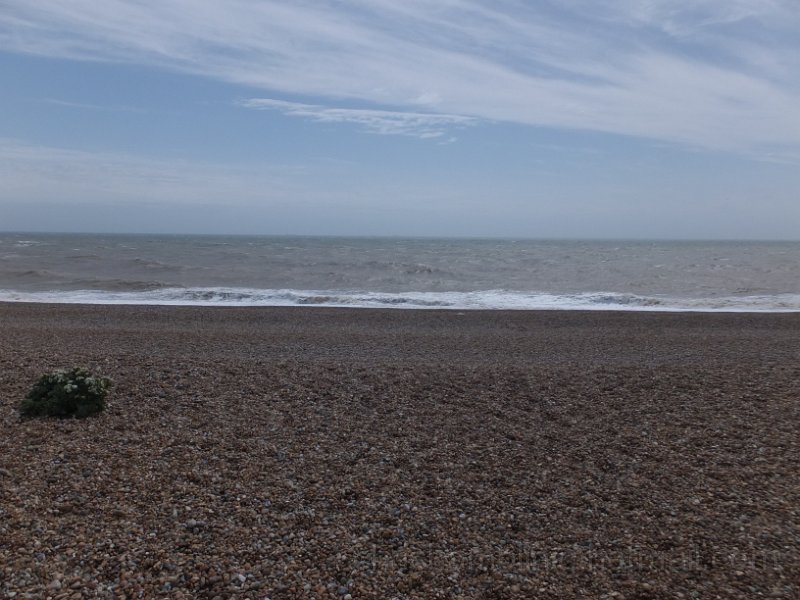DSCF6755.JPG