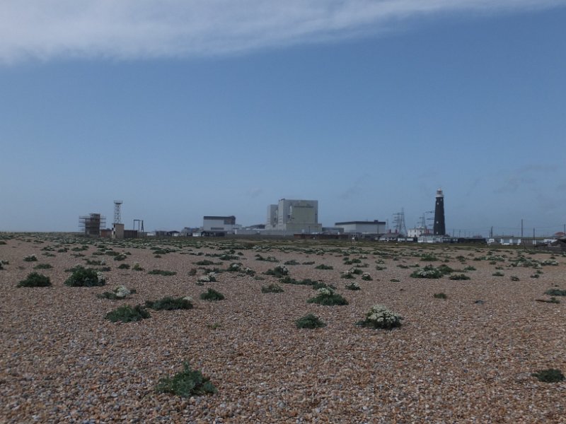 DSCF6757.JPG