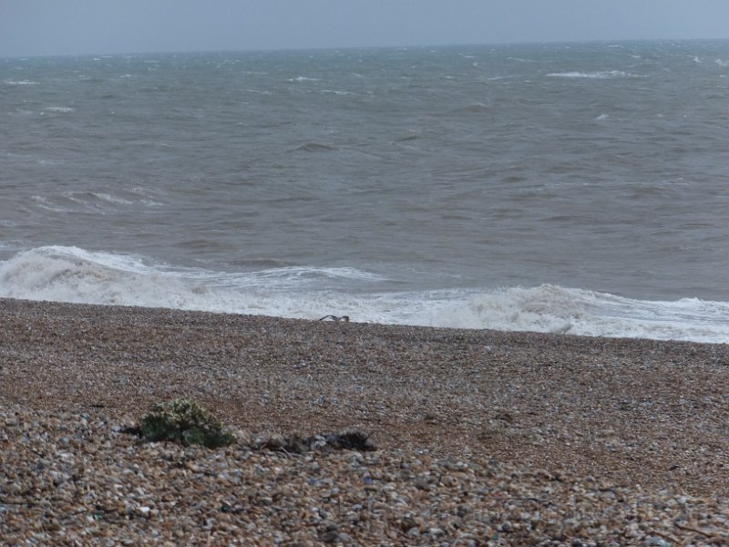 DSCF6758.JPG