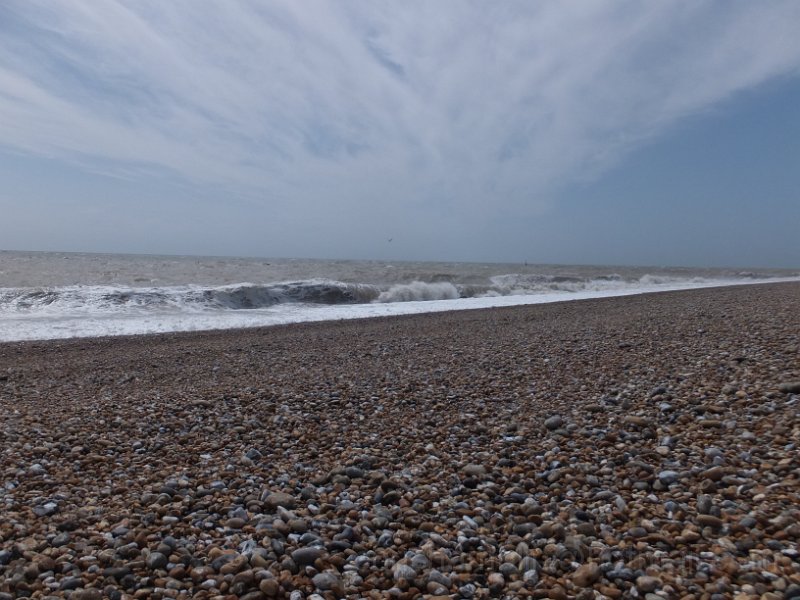DSCF6763.JPG