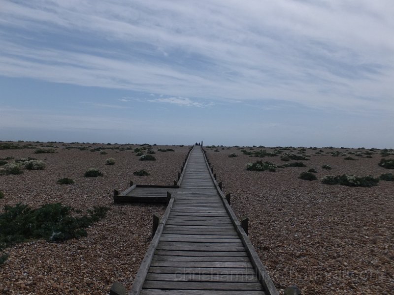 DSCF6770.JPG
