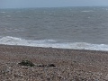 DSCF6758