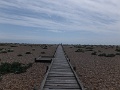 DSCF6770