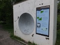 DSCF6771