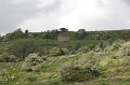 IMG_3608