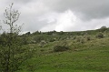 IMG_3609