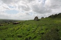 IMG_3625